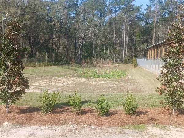 Professional Landscaper