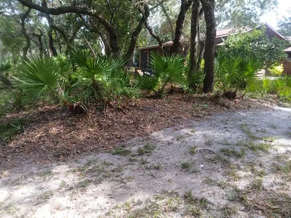 Trusted Landscape Contractor