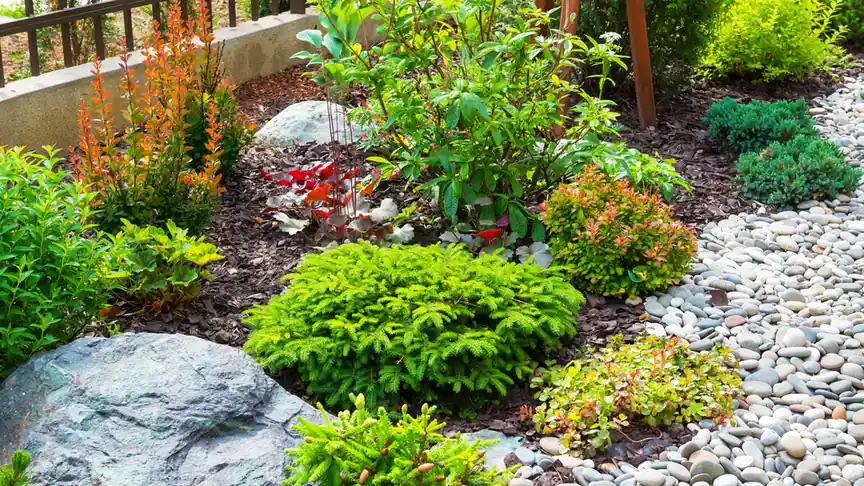 Flower bed maintenance for cleaner landscape design