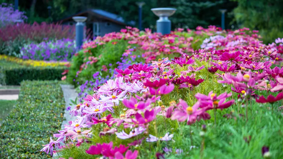 Landscaping guides from Always True Landscaping