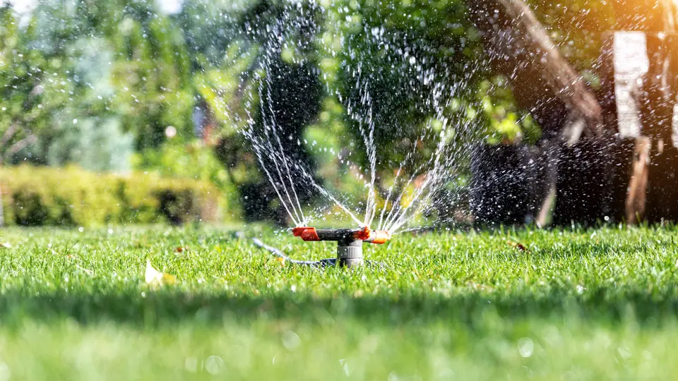 Sprinkler head for irrigation system repair in Crawfordville, FL