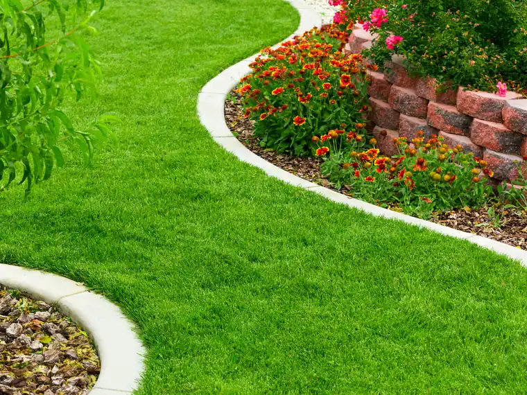 Lawn mowing and edging on a residential property in Crawfordville, FL - clean cut lines and trimmed borders along the driveway