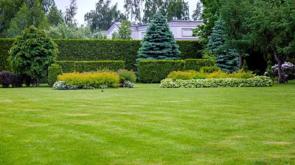 Professional lawn mowing in Crawfordville, FL