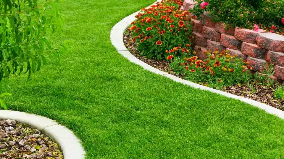Lawn mowing frequency guide for North Florida