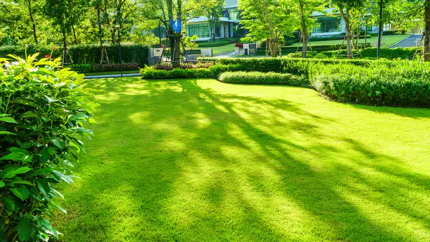 Professional lawn seeding service in Crawfordville, FL