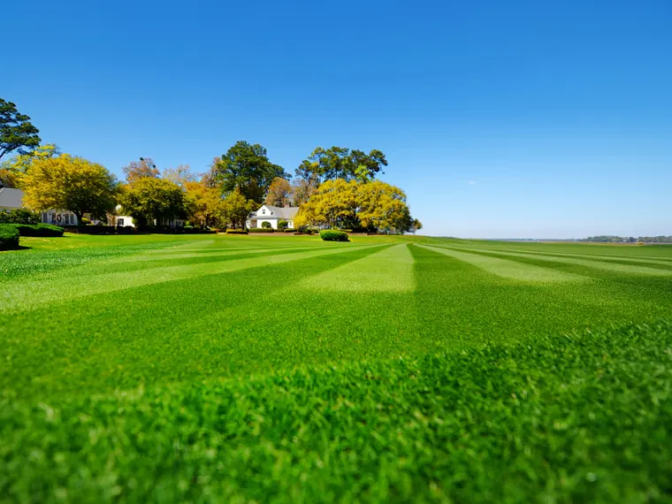 New grass growth after lawn seeding service in Crawfordville, FL