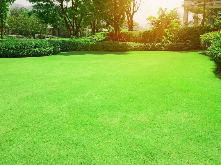 Lawn seeding in progress during the optimal spring window in North Florida - seed applied to prepared soil