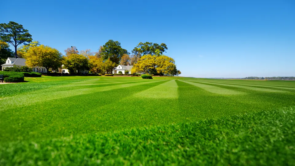 Professional lawn seeding service in Crawfordville, FL