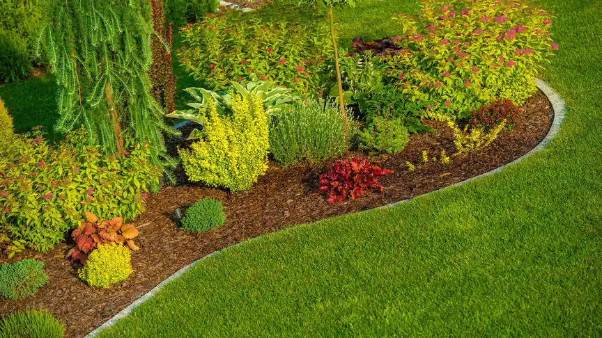 Mulch being applied correctly around garden beds and tree bases
