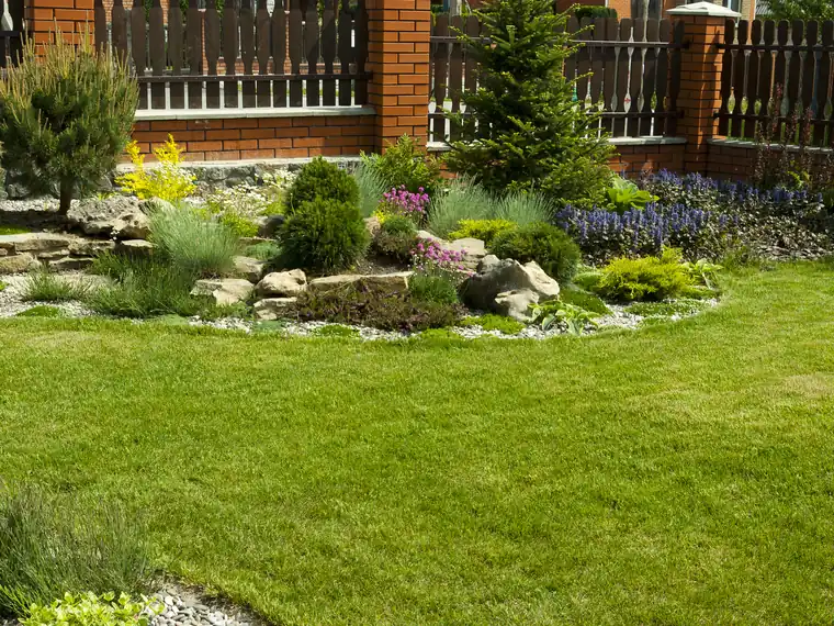 Mulch applied with clean edges along a garden bed border - professional edging before mulch application