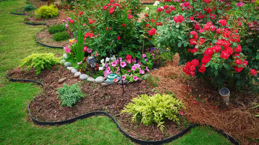 Landscaping guides from Always True Landscaping