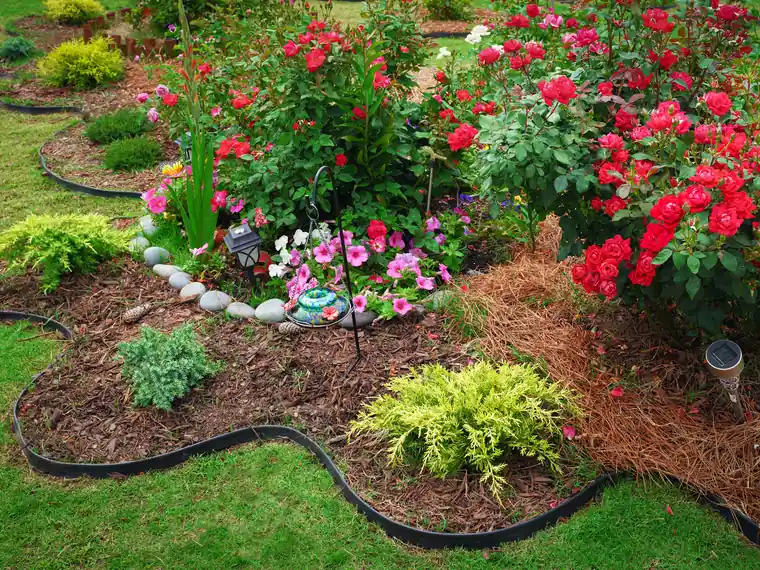 Mulch being applied around garden beds on a residential property in North Florida - professional application with clean borders