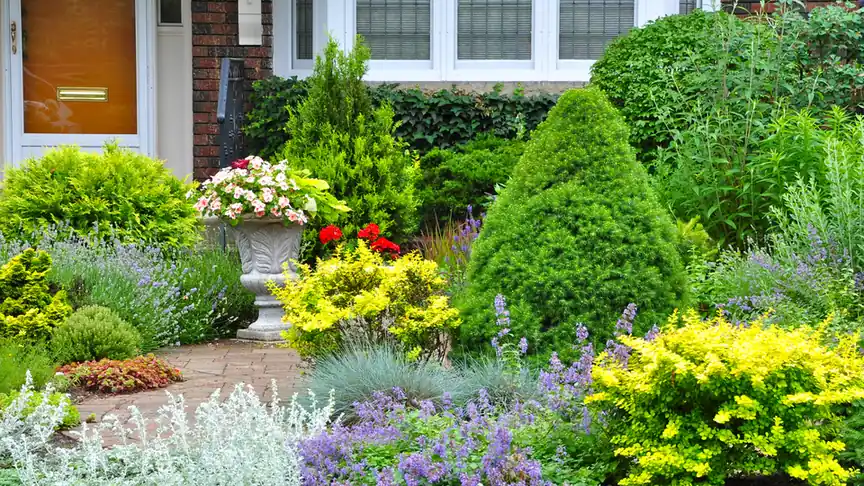 Landscaping guides from Always True Landscaping