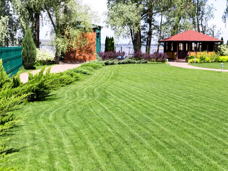 Finished sod installation lawn in Crawfordville, FL